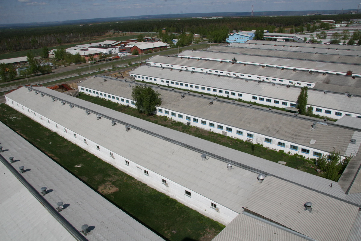 Свинокомплекс Иркутск Адреса Магазинов Свинокомплекс Иркутск Адреса Магазинов