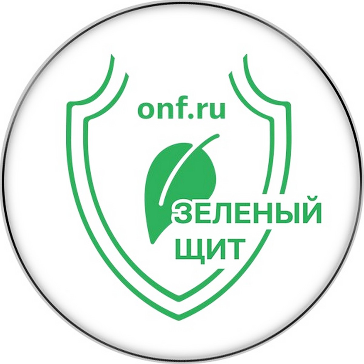 Проект зеленый щит